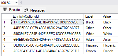 Picture showing a New Ethnicity Record in the Database Table. 